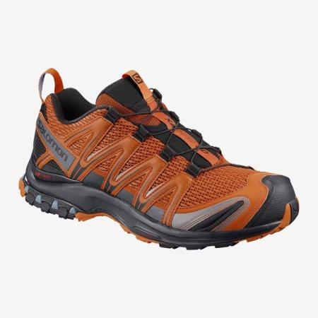 Scarpe Trail Running Salomon XA PRO 3D Uomo Arancioni IT 1-P64